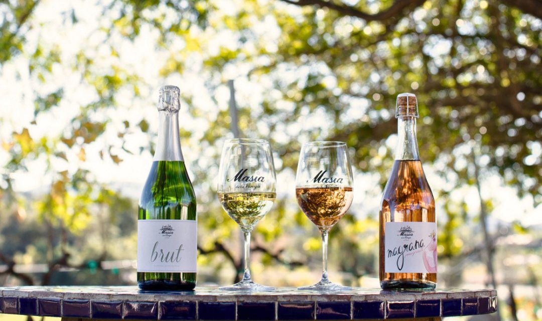 A lineup of Masia wines